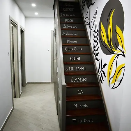 Ciuri's House