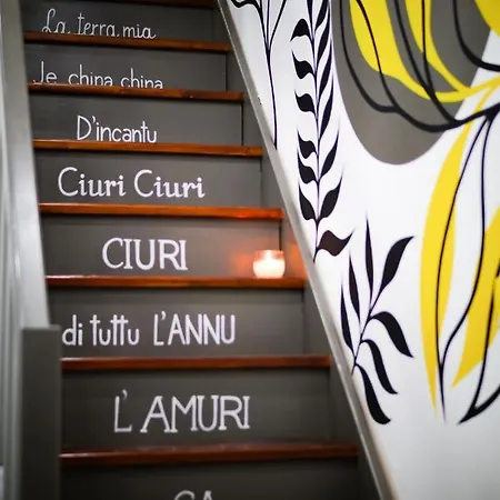 Ciuri's House